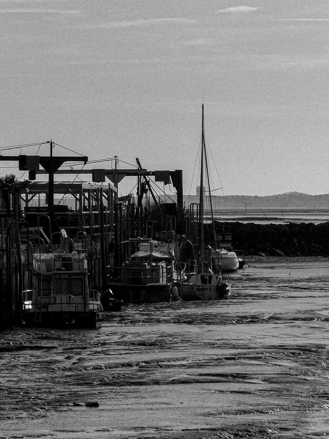 Port ostréicole avec bateaux amarrés à marée basse.