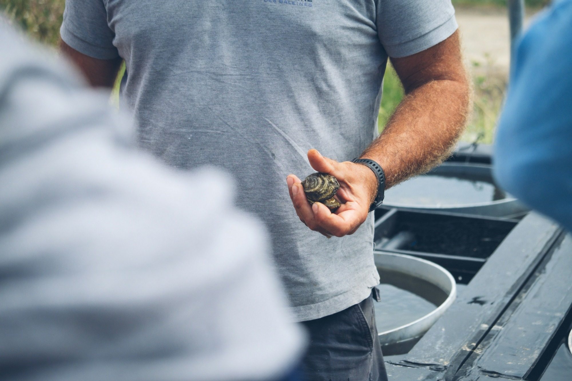 Une personne tient une huître dans sa main, avec un fond flou de nature.