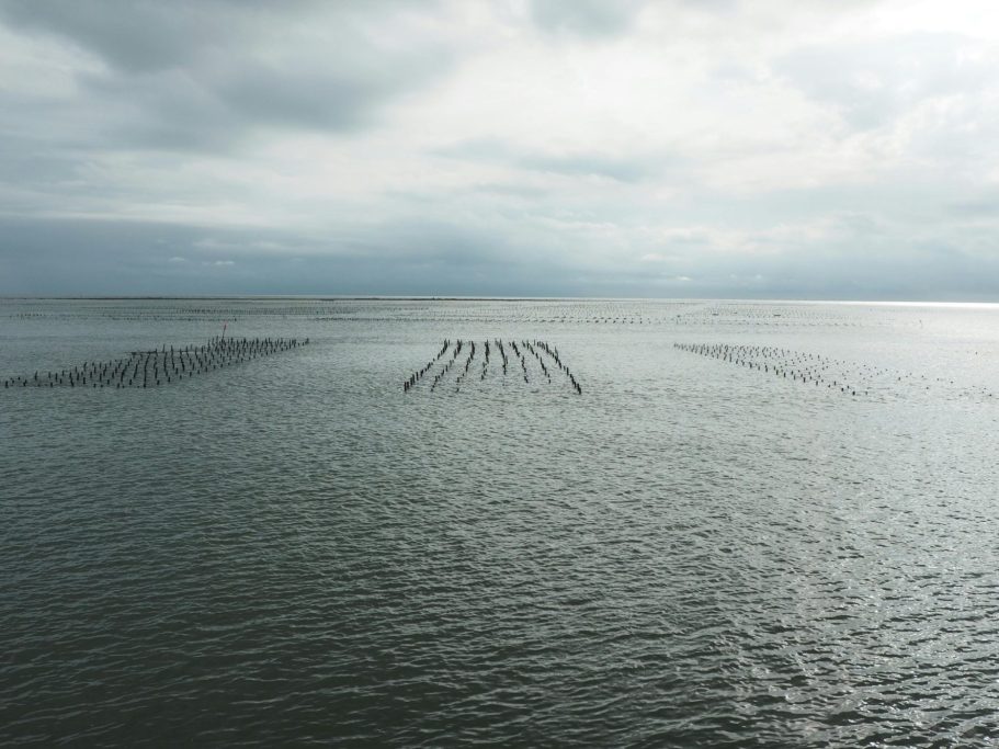 Parc à huîtres sur une mer calme sous un ciel nuageux.